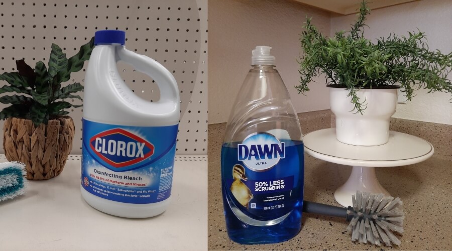 Dish Soap and Bleach